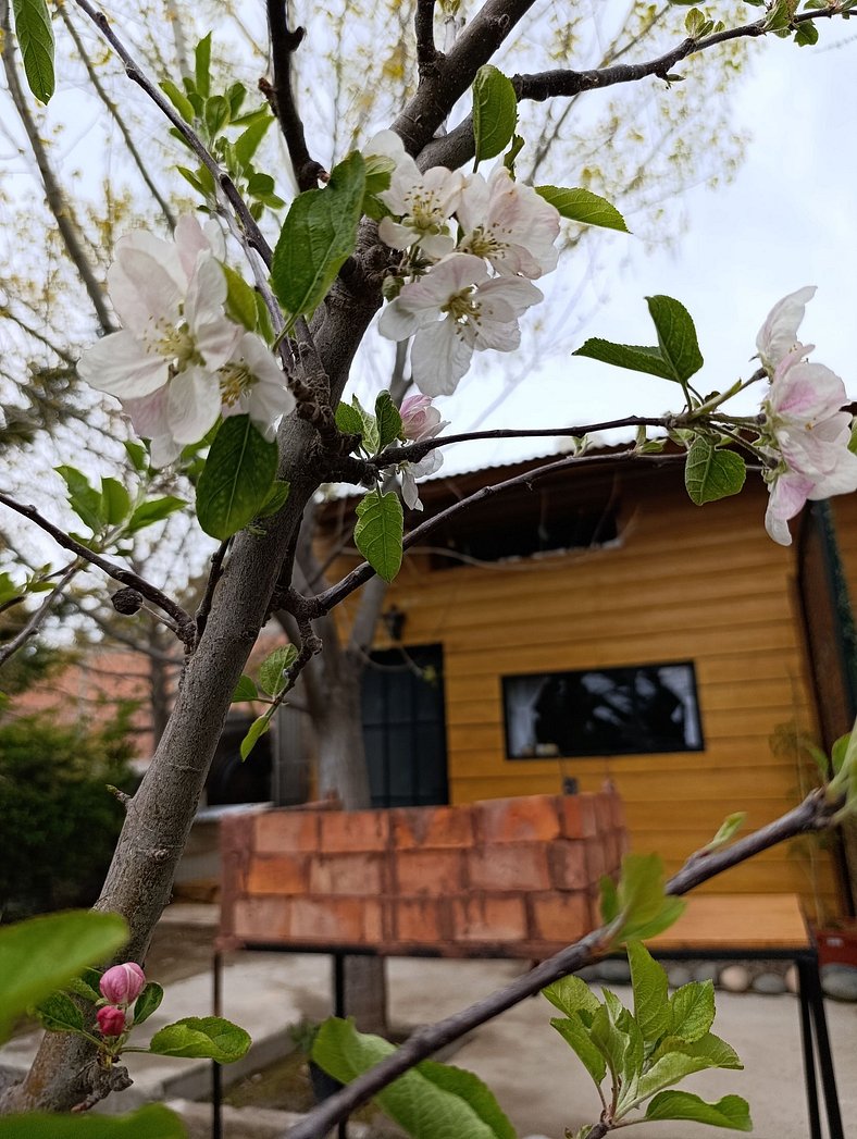 Cabaña para 6 con piscina climatizada en temp.